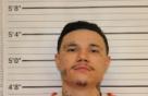 Mugshot of DOMINIC LONG