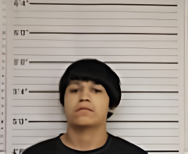 Mugshot of DAMIAN LONGIE