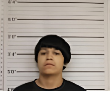 Mugshot of DAMIAN LONGIE