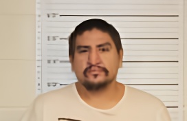 Mugshot of LESLIE JACKSON