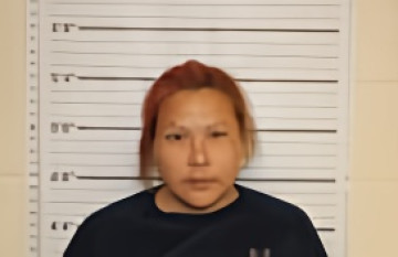 Mugshot of JEWELL ALBERTS