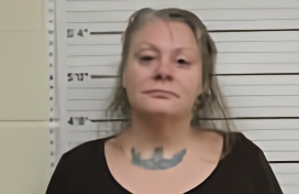Mugshot of JESSICA TRAYNOR