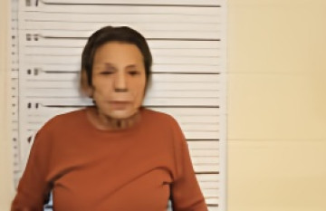 Mugshot of ANTOINETTE HERMAN
