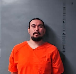 Mugshot of Ronnie Daniel Luna