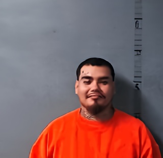 Mugshot of Rodolfo Nmn Alanis-Martinez