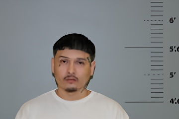 Mugshot of Fernando, Estevan Hi