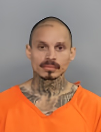Mugshot of RICARDO GAMON