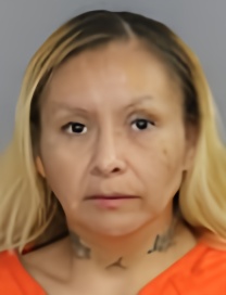 Mugshot of NICOLE KITTY GOODSON