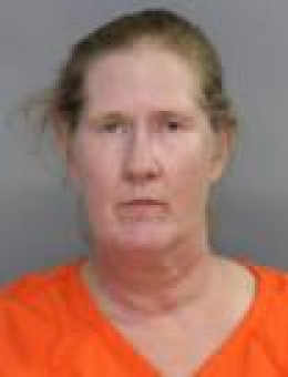 Mugshot of CAMI LEANN NYFFLER