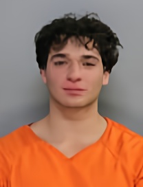 Mugshot of ALLAN J HALL