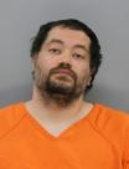 Mugshot of MICHAEL D SWANSON