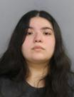 Mugshot of BOBBI R PEREZ