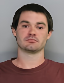 Mugshot of ANDREW J VAN EGDOM