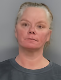 Mugshot of VIRGINIA LYNN COMPTON