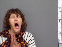 Mugshot of Karma S Brandt