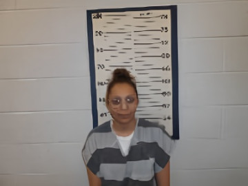 Mugshot of Davida Shereen Henry