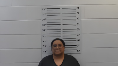 Mugshot of Zoriannys Nmn Quinonez Hidalgo