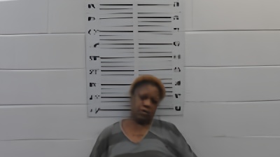 Mugshot of Sheree Nakadenee Robinson