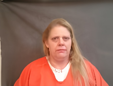 Mugshot of Andelt Amanda Lee