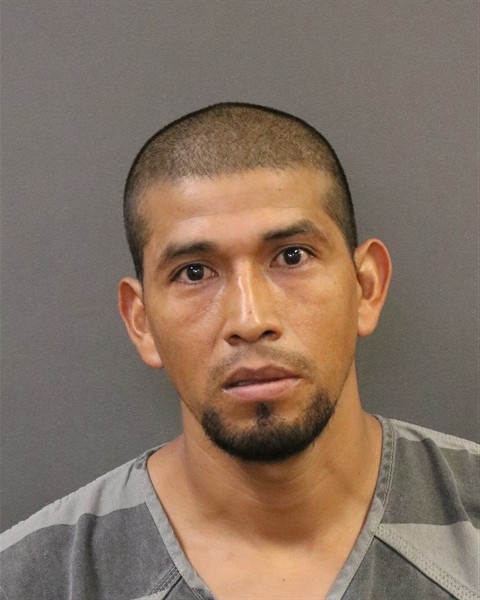 Mugshot of Feliza Gutierrez-Gutierrez