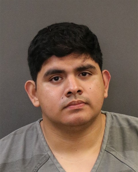 Mugshot of Nixon E Perez Villeda