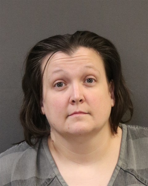 Mugshot of Ericka L Sheehan