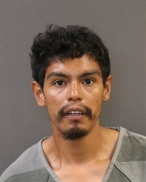 Mugshot of Jorge Luis Magana