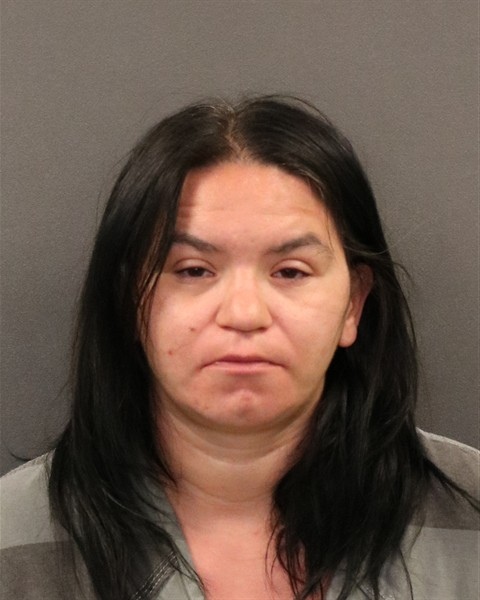 Mugshot of Donna Dove Collins