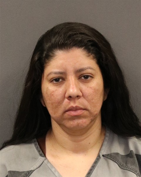 Mugshot of Juliannys Delgado Maestre