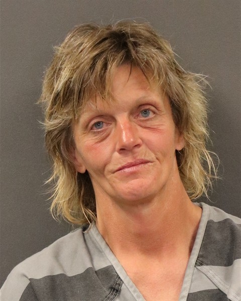Mugshot of Mitzi Sue Mohr