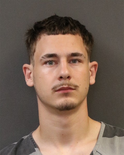 Mugshot of Almedin Ali Omerovic