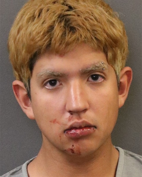 Mugshot of Abiel A Dominguez Nunez