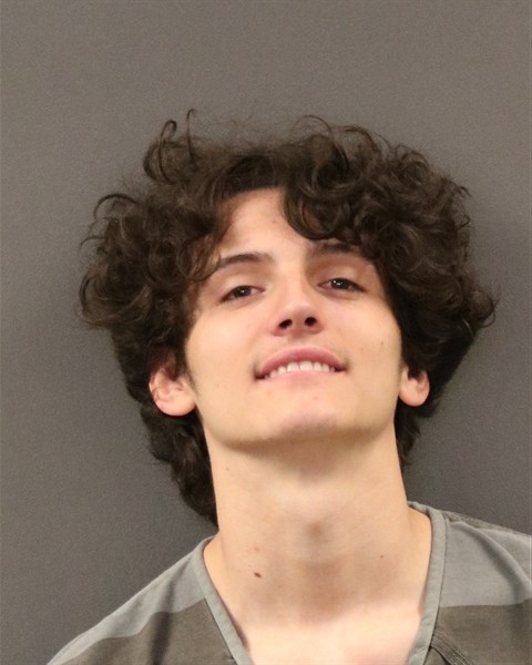 Mugshot of Travis Wayne McHenry