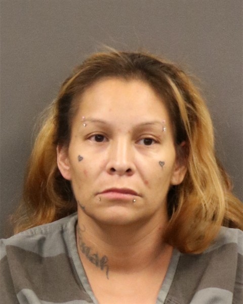 Mugshot of Apollonia L Decoteau