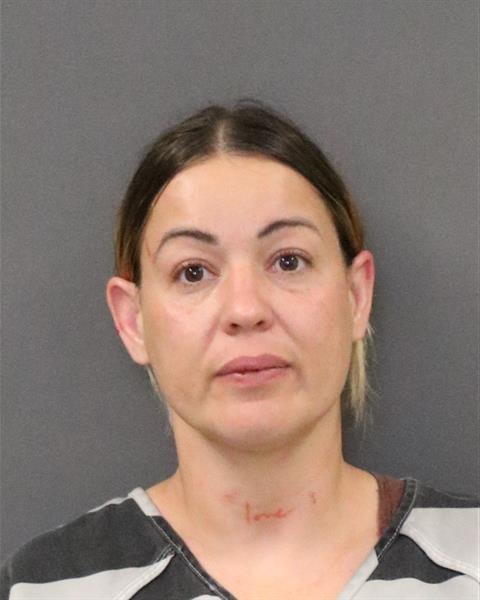 Mugshot of Minerva Balsa Diaz