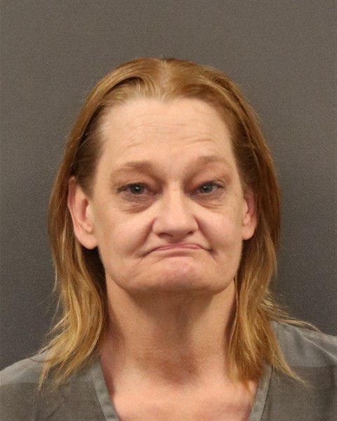 Mugshot of Gina Evon Reha
