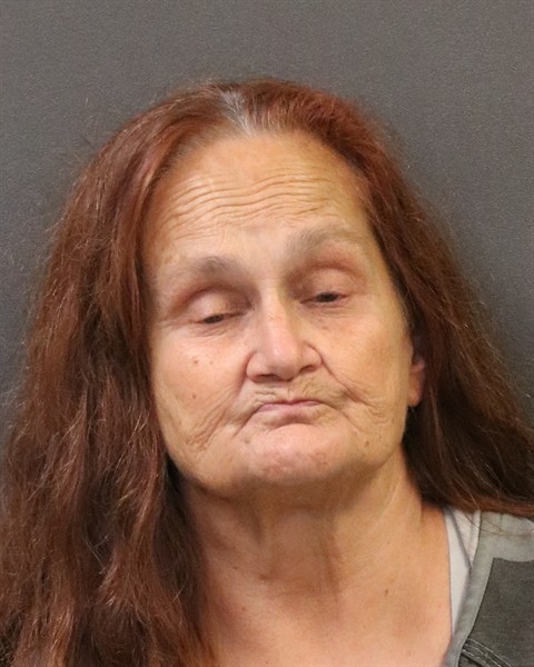 Mugshot of Leann Jo Skinner