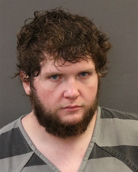 Mugshot of Skyler Laine Warburton