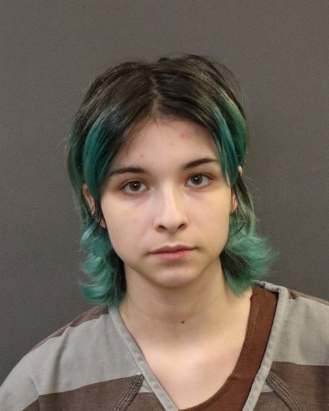 Mugshot of Angelina M Merwin
