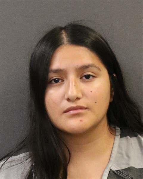 Mugshot of Niky Aguirre Hernandez