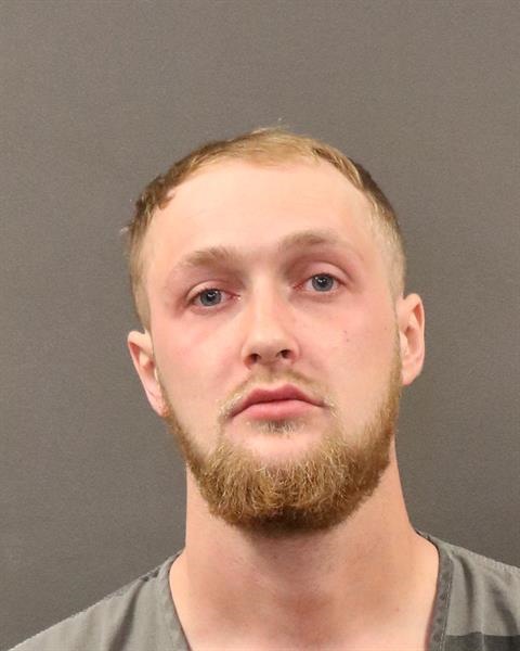 Mugshot of Dylan S Wilson