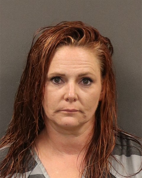 Mugshot of Sara Dee Gerlach