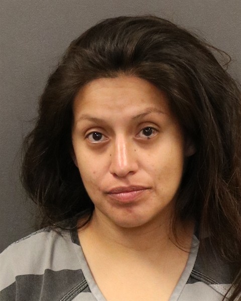 Mugshot of Adriana Camacho Alcorta