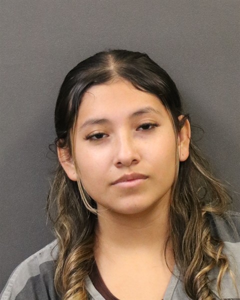 Mugshot of Lesly D Lopez Figueroa
