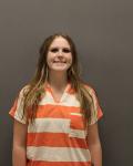 Mugshot of Cecelia M Lampkin