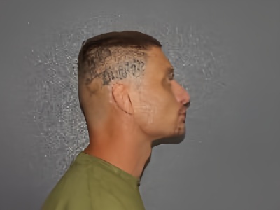 Mugshot of Ivan H Krell