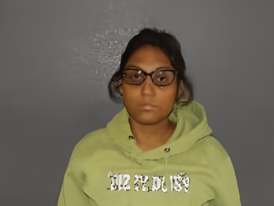 Mugshot of Fabiola Olave