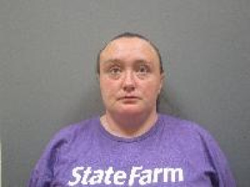 Mugshot of Brianna Lee Castor