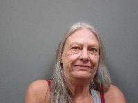 Mugshot of Deborah Kay Vecchio