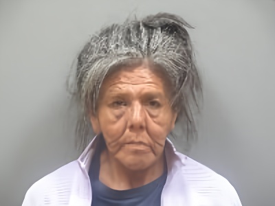 Mugshot of Loanne Nmn Robinson